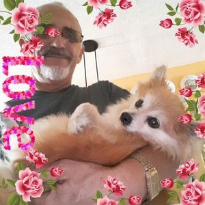 Meet your Posher, Francisco torres